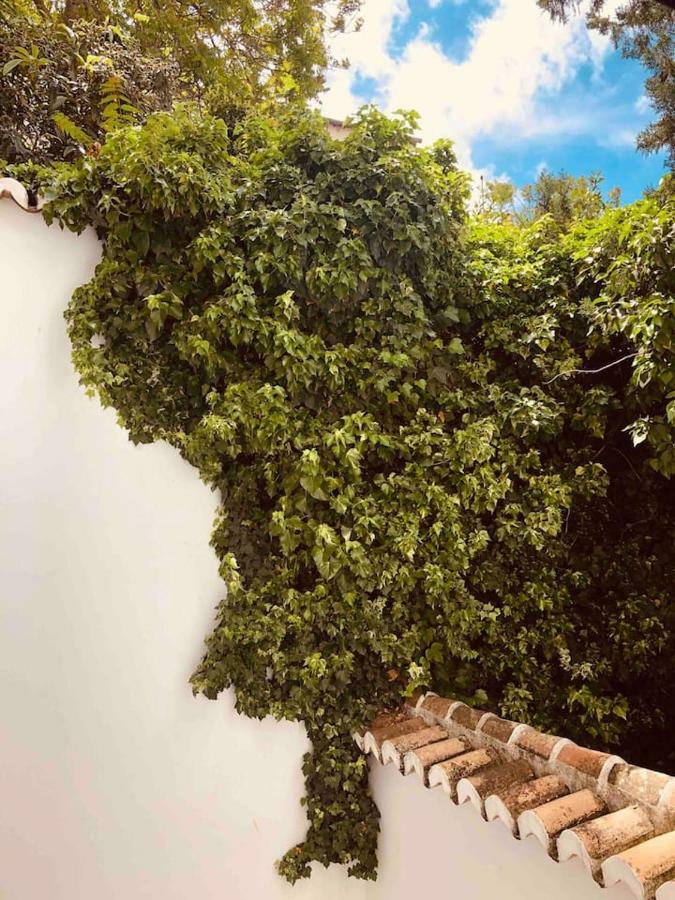 阿奇多纳La Victoria 1 El Paseo公寓 外观 照片